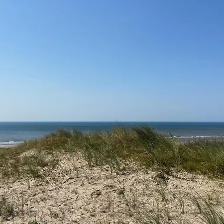 3 Bedroom Cozy In Noordwijk